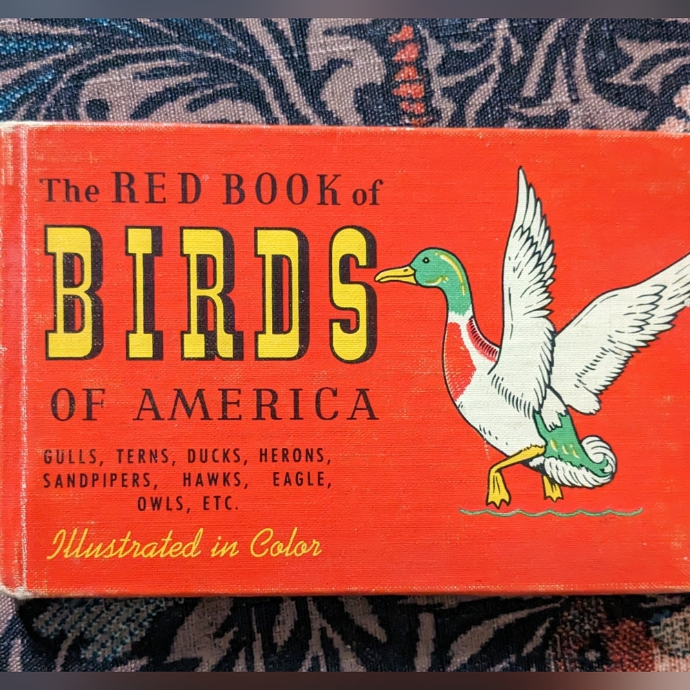 Vintage birds of America book